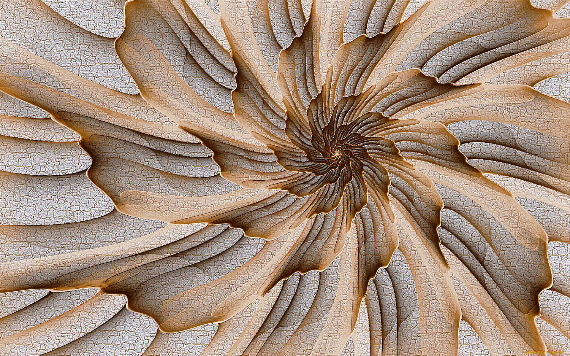 3, , fractal, , , , 